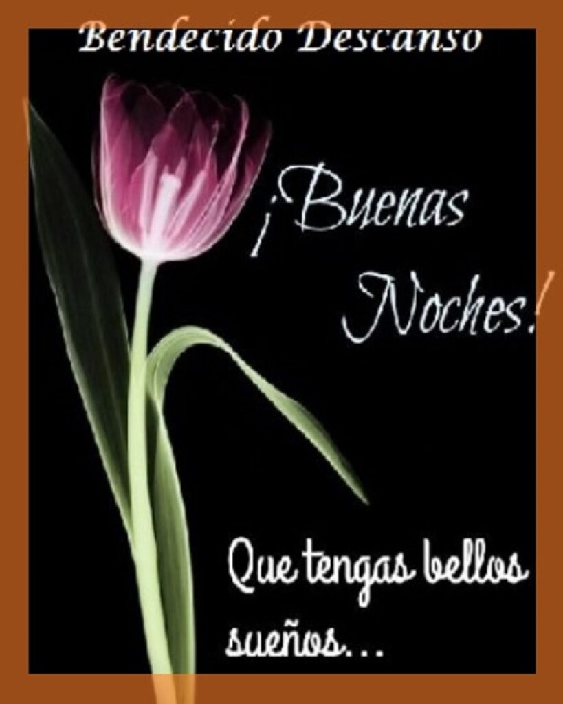 noche especial bendiciones